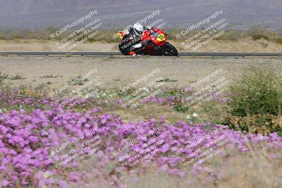 media/Feb-04-2023-SoCal Trackdays (Sat) [[8a776bf2c3]]/Turn 15 Inside Blooming (1050am)/